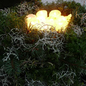 Jens Jakobson Christmas: tealights, foliage, wild flowers
