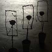 Jens Jakobson Christmas: single rose in art deco branch frame