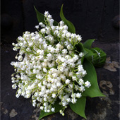Jens Jakobson Wedding: Lily of the valley posy
