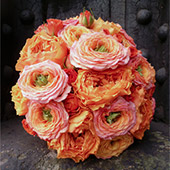 Jens Jakobson Wedding: peach roses