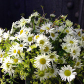 Jens Jakobson Wedding: flowers 55, white arrangement