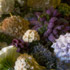 Jens Jakobson: Wedding flowers 25