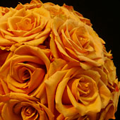 Jens Jakobson Wedding: orange roses