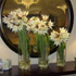 Jens Jakobson Workplace: flowers 13, white orchids