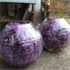 Jens Jakobson Workplace: flowers 11, purple vases