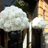 Jens Jakobson Workplace: flowers 12, white hydrangea